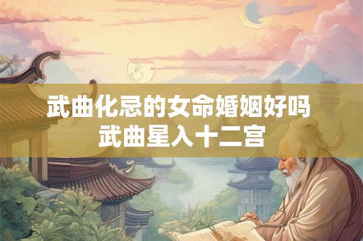武曲化忌的女命婚姻好吗 武曲星入十二宫