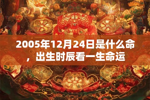 2005年12月24日是什么命，出生时辰看一生命运