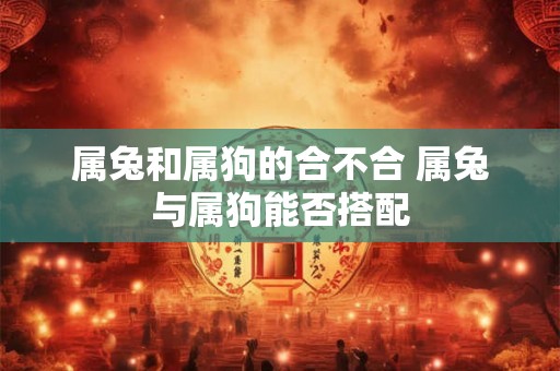 属兔和属狗的合不合 属兔与属狗能否搭配