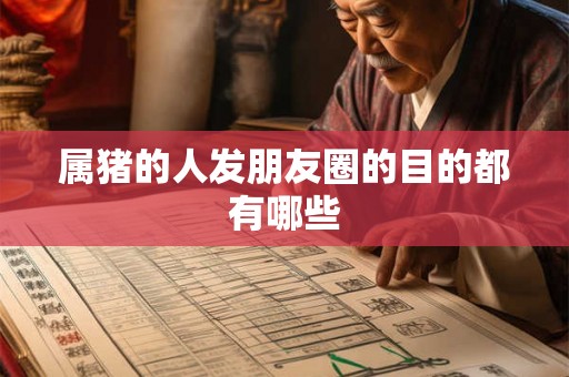 属猪的人发朋友圈的目的都有哪些