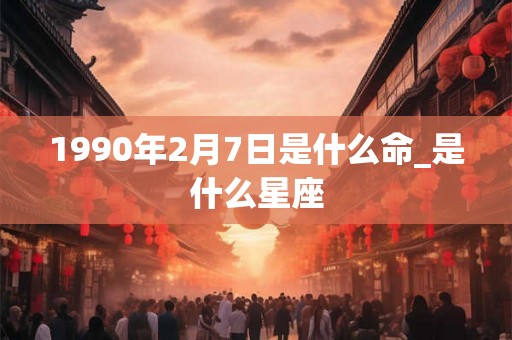 1990年2月7日是什么命_是什么星座