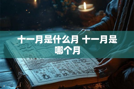 十一月是什么月 十一月是哪个月