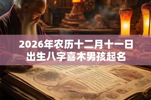 2026年农历十二月十一日出生八字喜木男孩起名