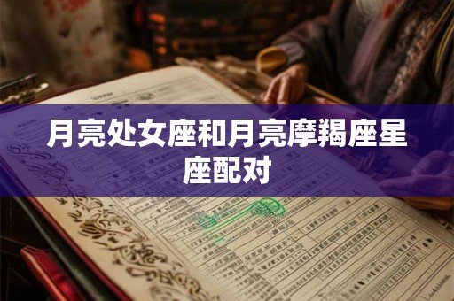 月亮处女座和月亮摩羯座星座配对 月亮处女座和月亮摩羯座星座配对