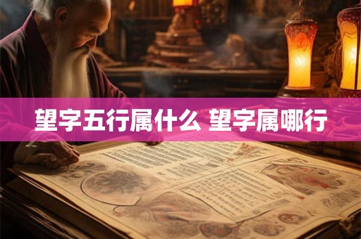 望字五行属什么 望字属哪行