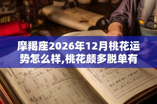 摩羯座2026年12月桃花运势怎么样,桃花颇多脱单有望