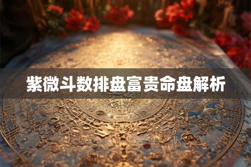 紫微斗数排盘富贵命盘解析