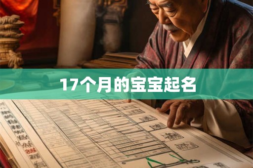 17个月的宝宝起名