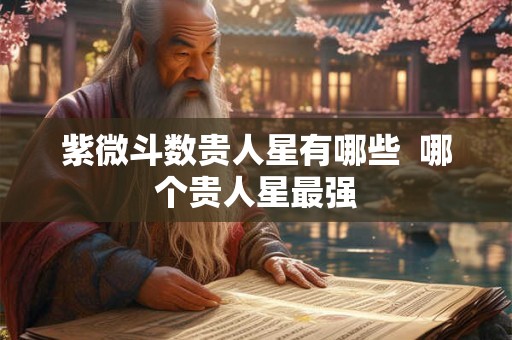 紫微斗数贵人星有哪些  哪个贵人星最强