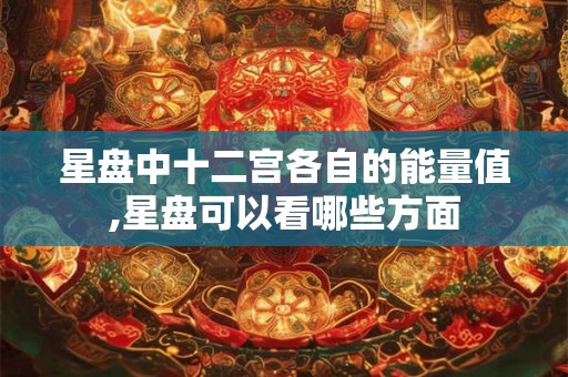 星盘中十二宫各自的能量值,星盘可以看哪些方面