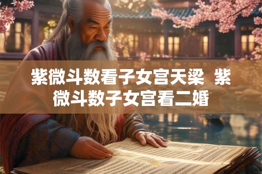 紫微斗数看子女宫天梁  紫微斗数子女宫看二婚