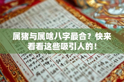 属猪与属啥八字最合？快来看看这些吸引人的！