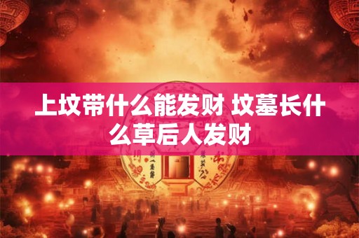 上坟带什么能发财 坟墓长什么草后人发财