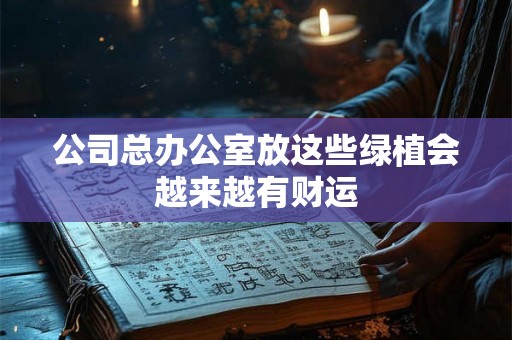 公司总办公室放这些绿植会越来越有财运