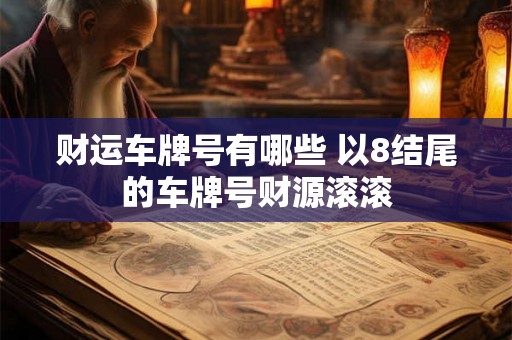 财运车牌号有哪些 以8结尾的车牌号财源滚滚
