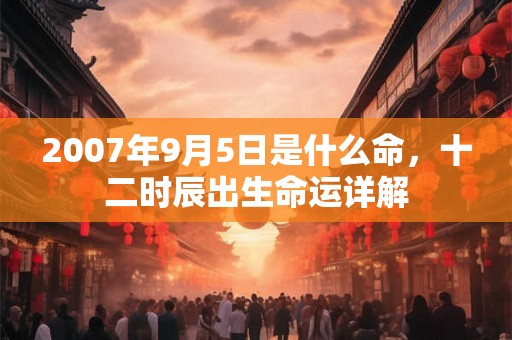 2007年9月5日是什么命，十二时辰出生命运详解