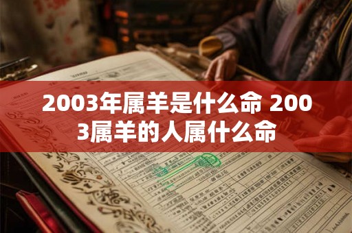 2003年属羊是什么命 2003属羊的人属什么命