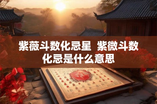 紫薇斗数化忌星  紫微斗数化忌是什么意思