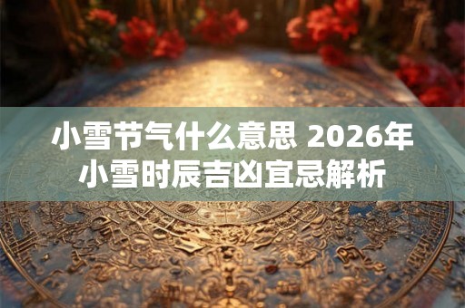 小雪节气什么意思 2026年小雪时辰吉凶宜忌解析