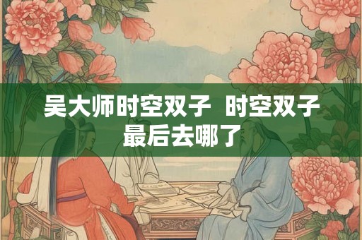 吴大师时空双子  时空双子最后去哪了