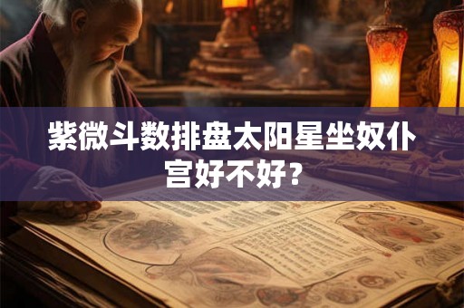 紫微斗数排盘太阳星坐奴仆宫好不好？