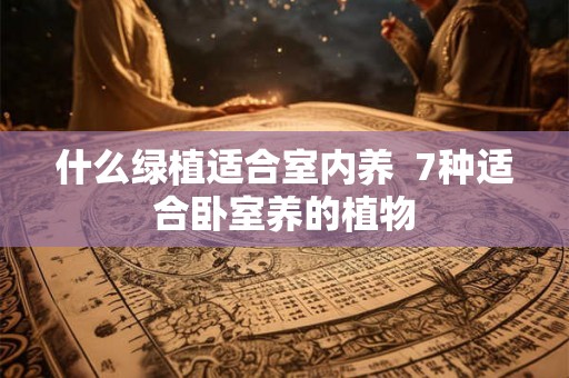 什么绿植适合室内养  7种适合卧室养的植物