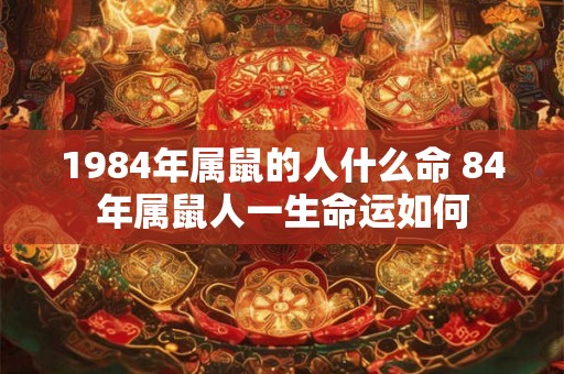 1984年属鼠的人什么命 84年属鼠人一生命运如何