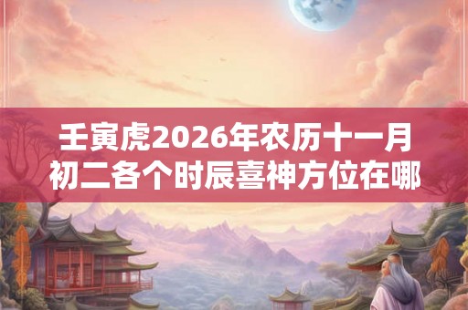 壬寅虎2026年农历十一月初二各个时辰喜神方位在哪？