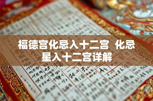 福德宫化忌入十二宫  化忌星入十二宫详解