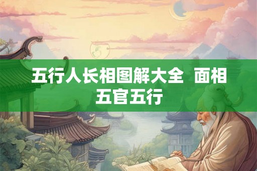 五行人长相图解大全  面相五官五行