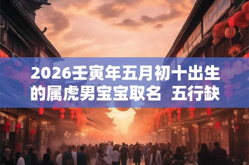 2026壬寅年五月初十出生的属虎男宝宝取名  五行缺啥