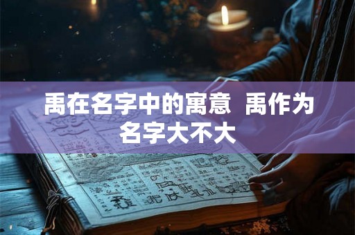 禹在名字中的寓意  禹作为名字大不大