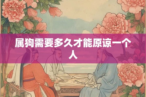 属狗需要多久才能原谅一个人