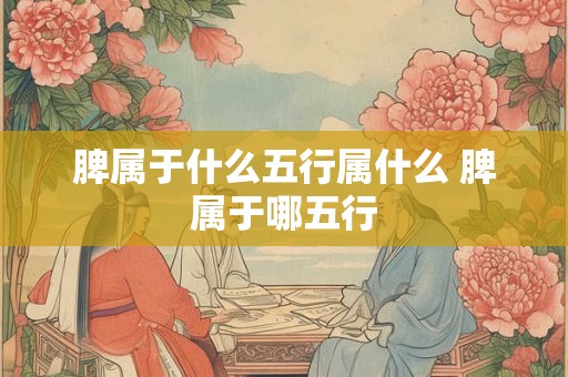 脾属于什么五行属什么 脾属于哪五行 脾属于什么五行属什么 脾属于哪五行