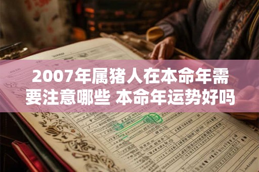 2007年属猪人在本命年需要注意哪些 本命年运势好吗 2007年属猪人在本命年需要注意哪些 本命年运势好吗