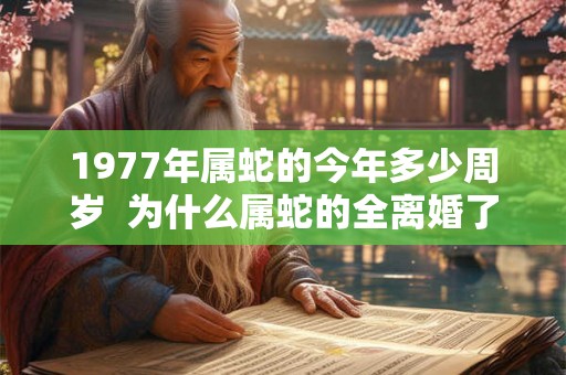 1977年属蛇的今年多少周岁  为什么属蛇的全离婚了