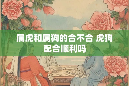 属虎和属狗的合不合 虎狗配合顺利吗 属虎和属狗的合不合 虎狗配合顺利吗