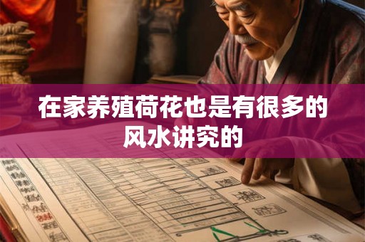 在家养殖荷花也是有很多的风水讲究的