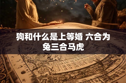 狗和什么是上等婚 六合为兔三合马虎