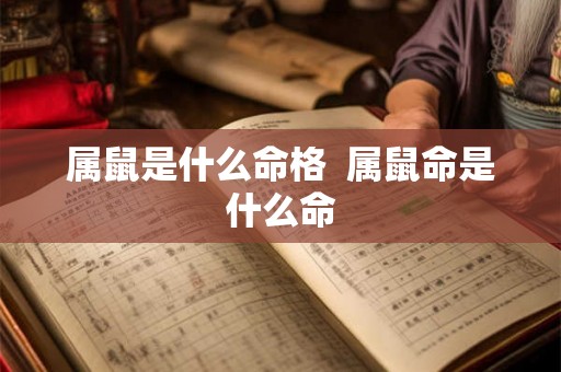 属鼠是什么命格  属鼠命是什么命