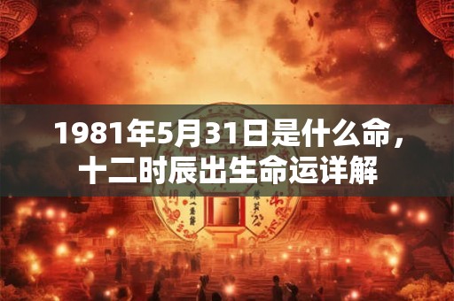 1981年5月31日是什么命，十二时辰出生命运详解
