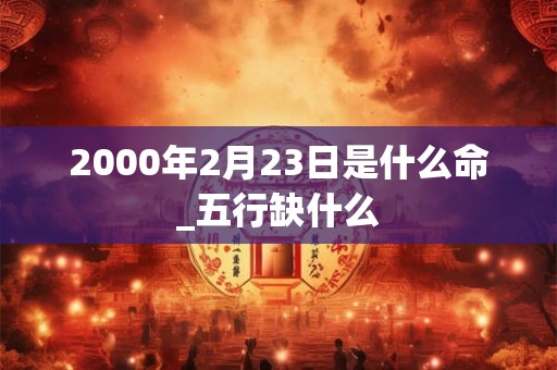 2000年2月23日是什么命_五行缺什么
