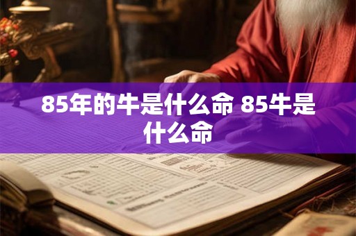 85年的牛是什么命 85牛是什么命