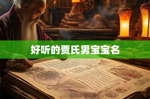 好听的贾氏男宝宝名