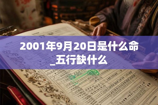 2001年9月20日是什么命_五行缺什么