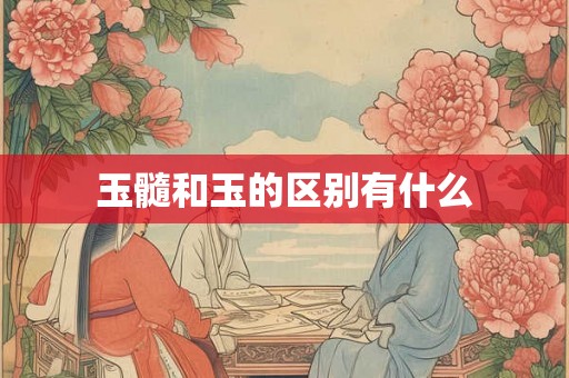 玉髓和玉的区别有什么 玉髓和玉的区别有什么
