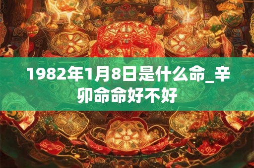 1982年1月8日是什么命_辛卯命命好不好