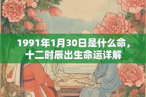 1991年1月30日是什么命，十二时辰出生命运详解