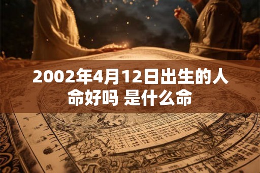 2002年4月12日出生的人命好吗 是什么命