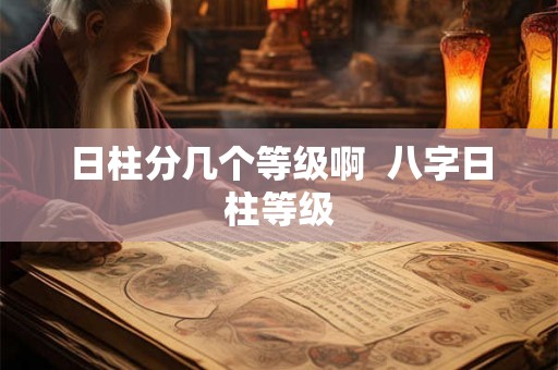 日柱分几个等级啊  八字日柱等级